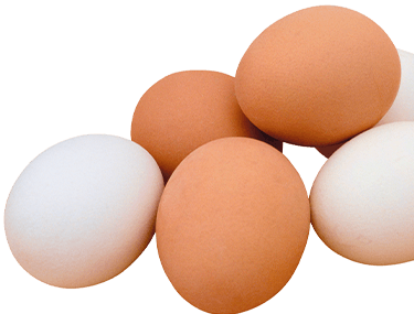 Huevos